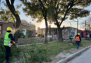 EL MUNICIPIO AVANZA CON TRABAJOS DE PODA Y ESCAMONDA EN DISTINTOS SECTORES DE LA CIUDAD