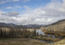 De Sarmiento a los Jeques: La Patagonia en la encrucijada de la soberanía y el discurso oficial
